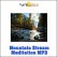 Mountain Stream Meditation MP3