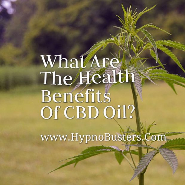 What Are The Health Benefits Of CBD Oil?