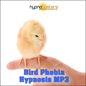 Fear of Birds Hypnosis MP3