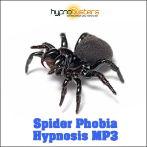 Spider Phobia Hypnosis MP3