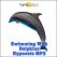 Swimming With Dolphins Hypnosis MP3